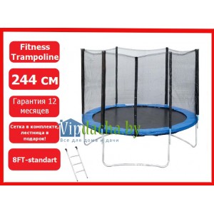 Комплект батут Trampoline Fitness 8FT-standard с сеткой и лестницей, диаметр 252 см Комплект батут Trampoline Fitness 8FT-standard с сеткой и лестницей, диаметр 252 см